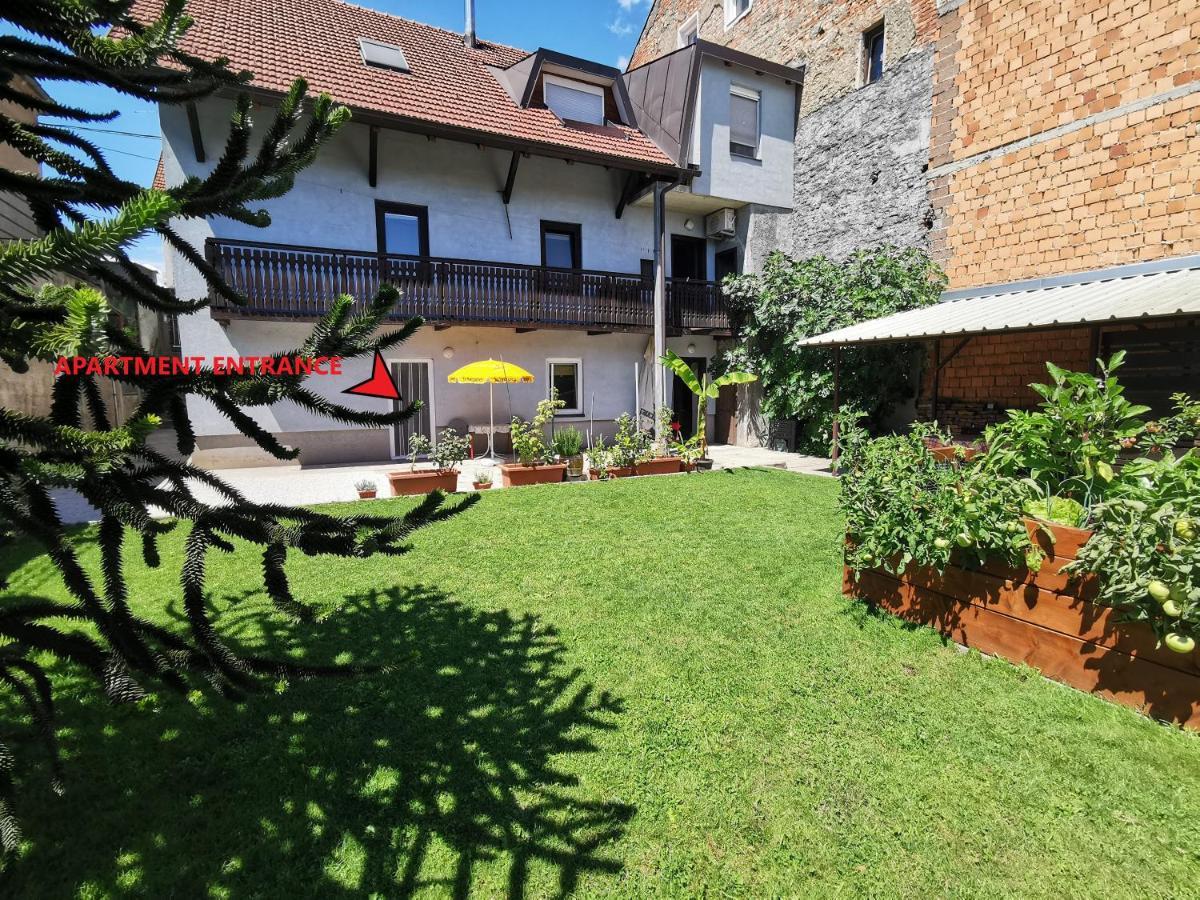 Araucaria Apartment *